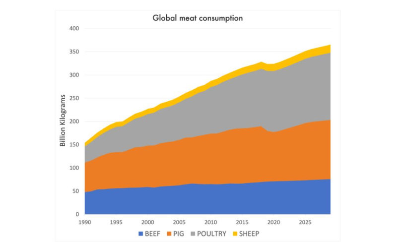 Global meat consumption